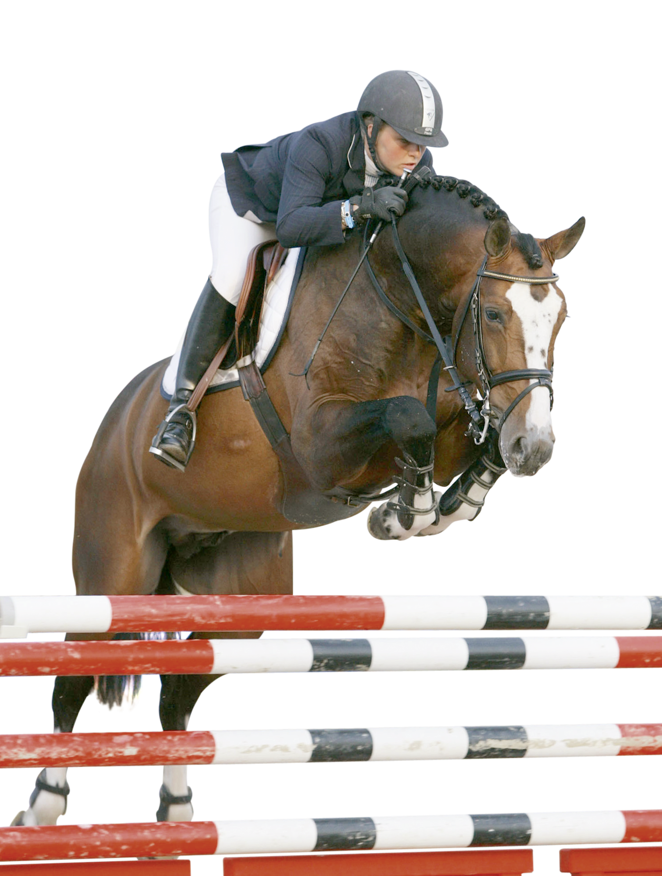 Balou du Rouet Hengste Total